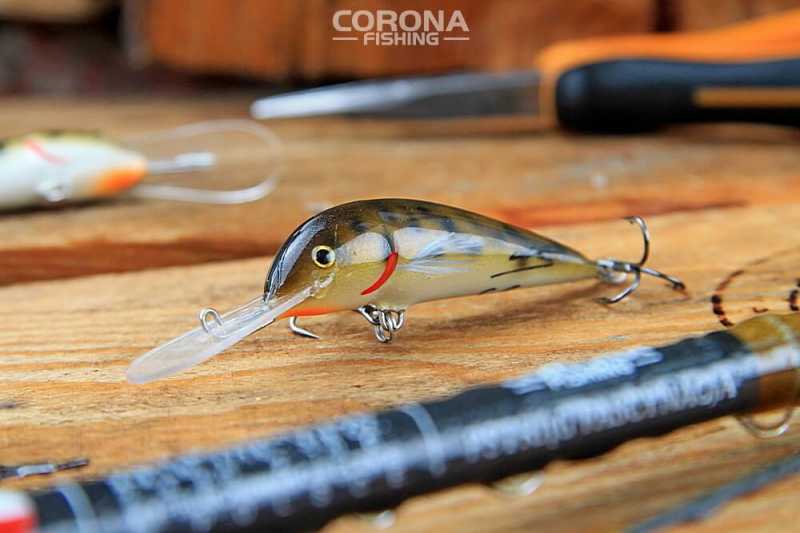 wobler brzanowy głowacz