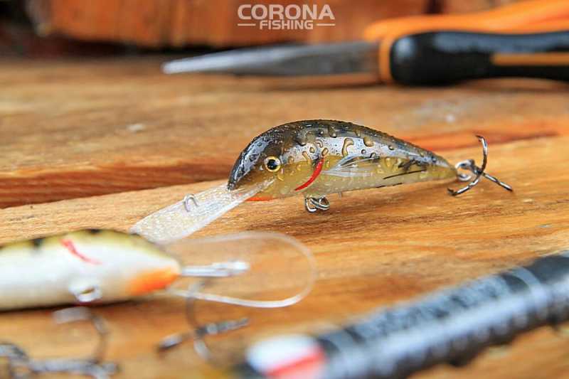 wobler głowacz na brzanę