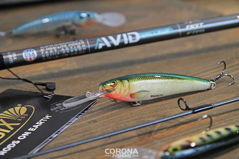 woblery głęboko schodzące na rynny