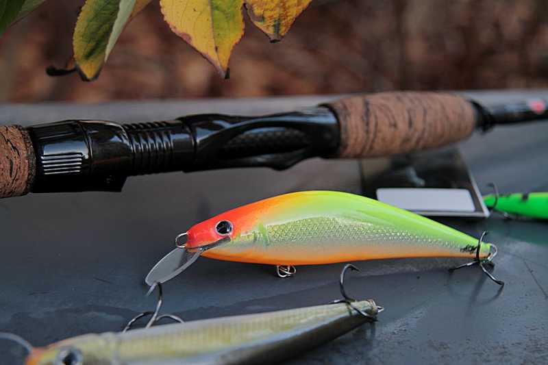 hms sakana płytko schodząca