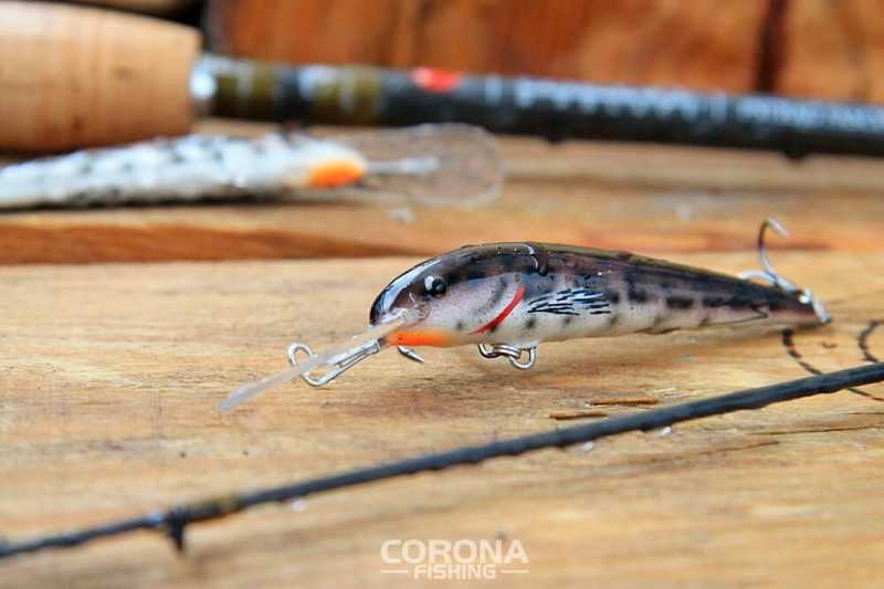 śliz wobler pstrągowy