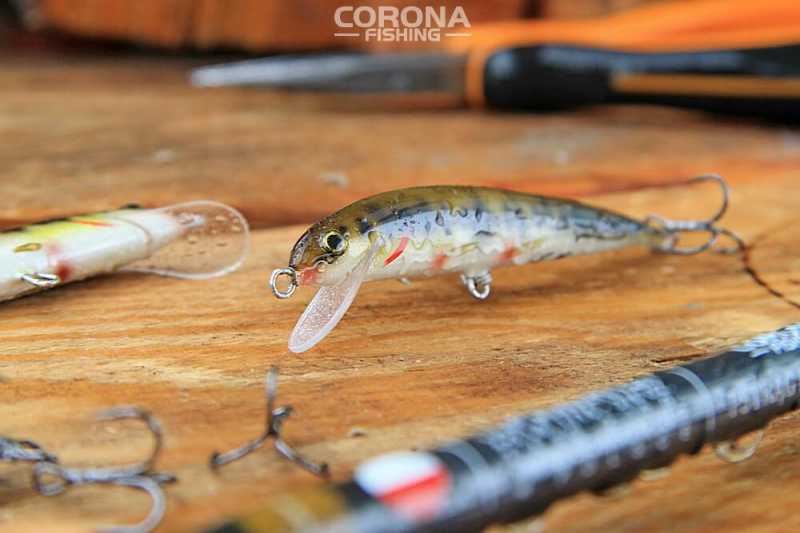 woblery na pstrąga strzebla potokowa