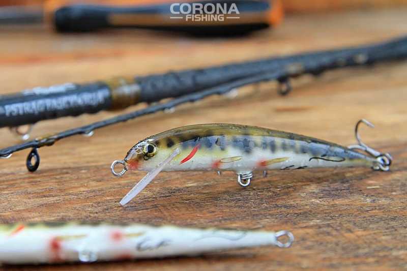 woblery pstragowe strzebla