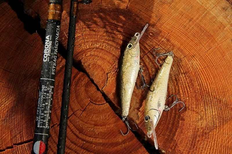 wobler na pstrąga