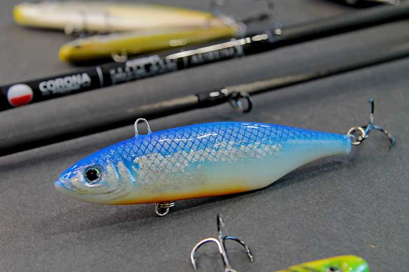 woblery cykady na sandacza