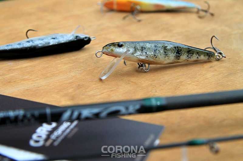 skuteczny wobler kiełb