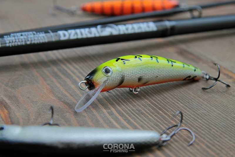 woblery łososiowe