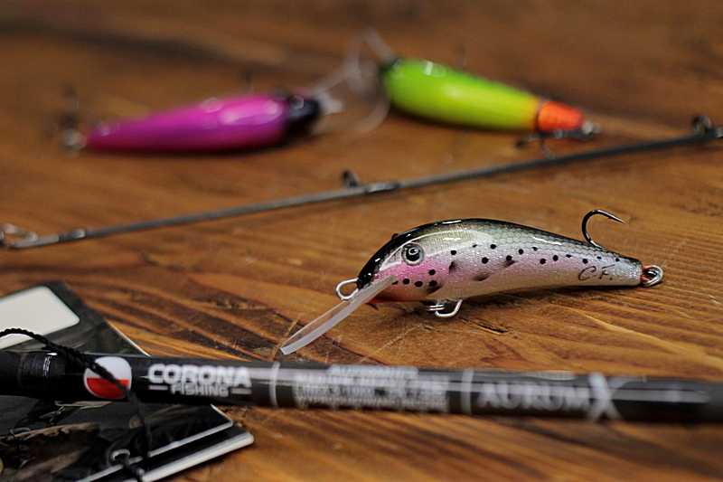 Woblery na trocie i łososie
