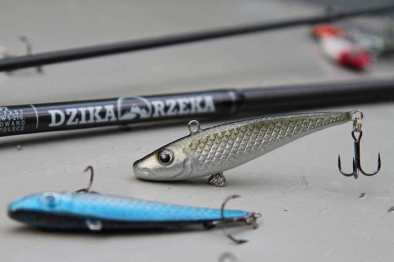 woblery bielik rapid