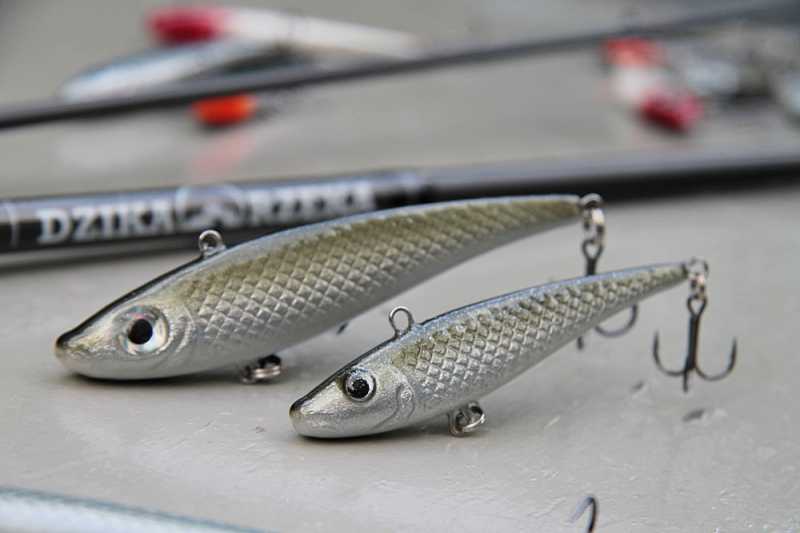 woblery bielik na bolenia rapid