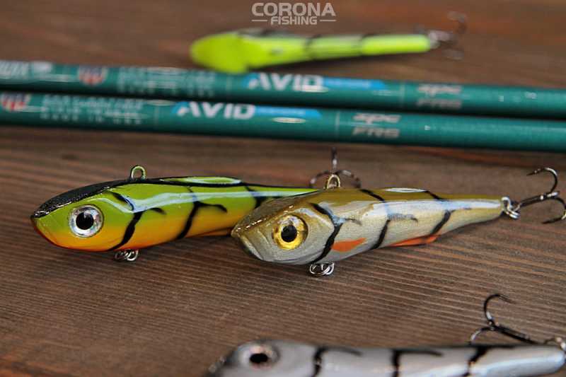 wobler na bolenia cykada