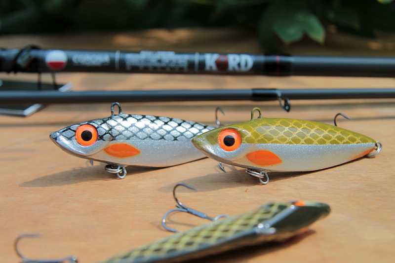 woblery wertykalne cykady na okonia