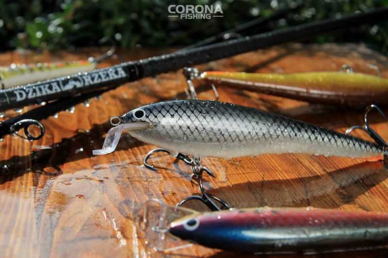 skuteczne woblery głowacicowe