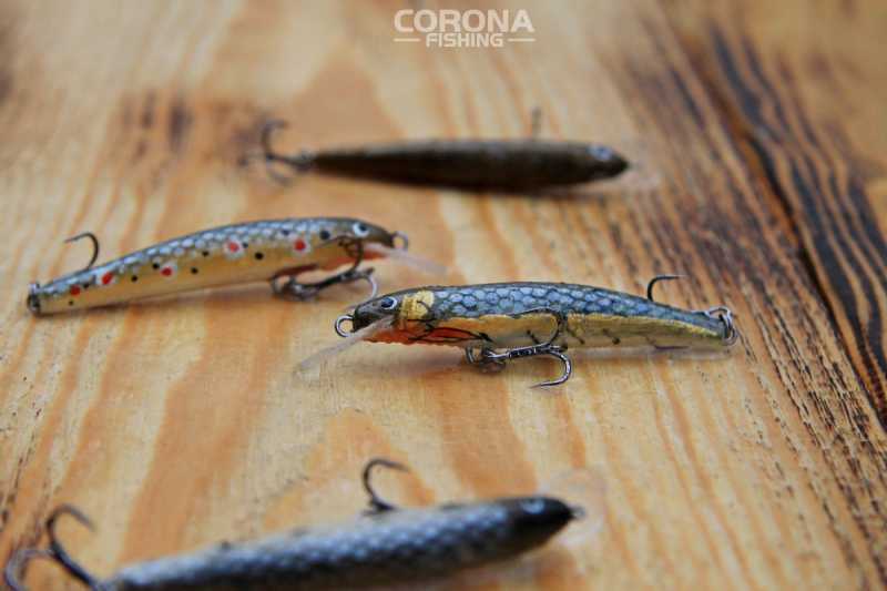 woblery kwiskie na pstrąga