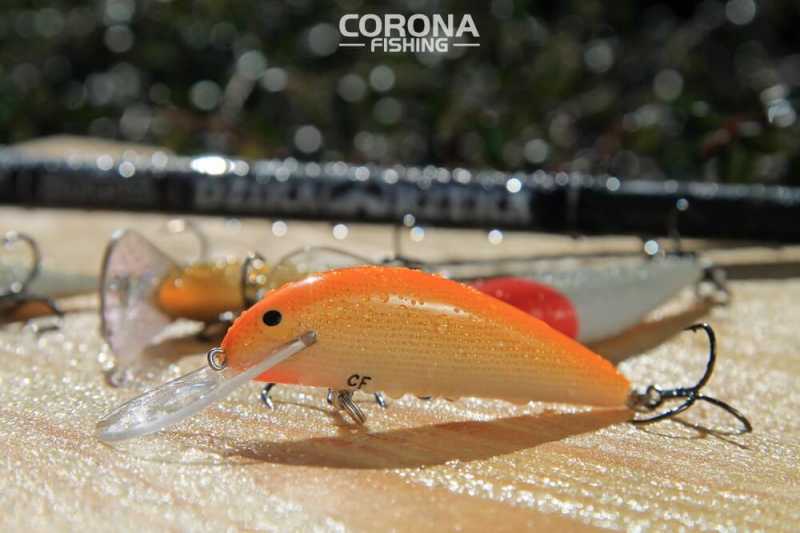 woblery na troć z czarnego