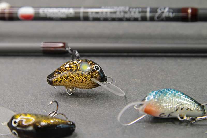 woblery na klenia trucha