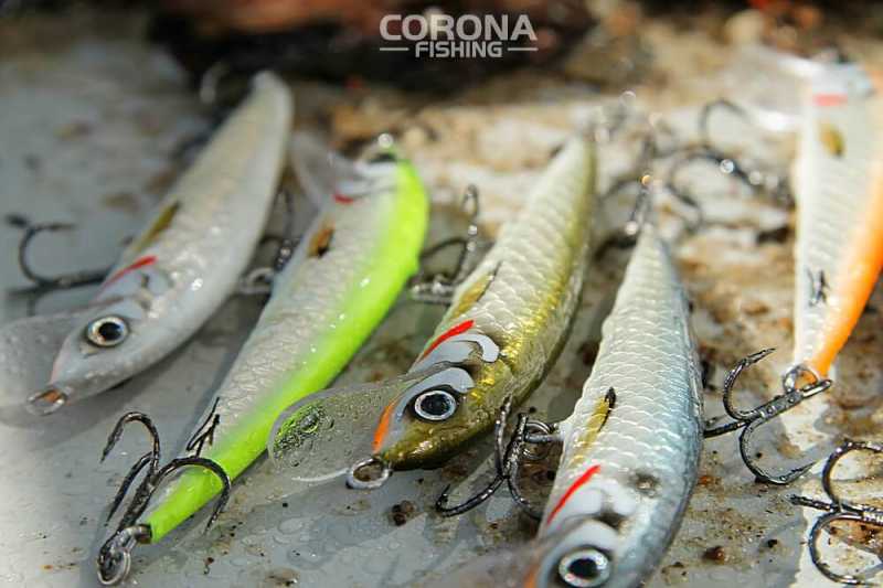 woblery sandaczowe pracownia roztocze