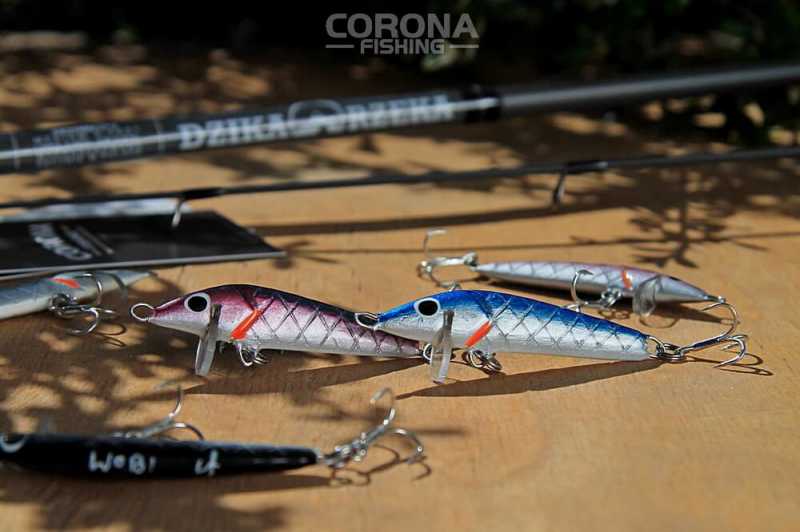 woblery na bolenia wobi