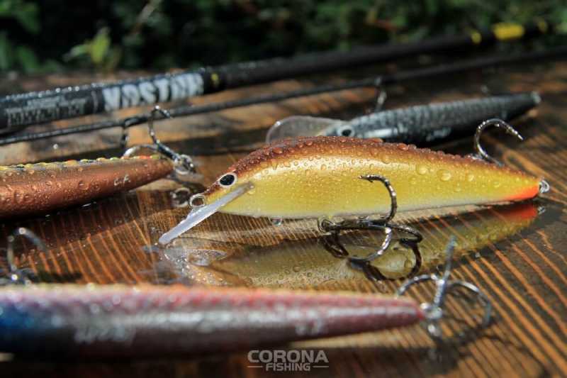 skuteczne woblery na głowacicę