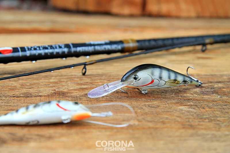 wobler pstragowy ciernik