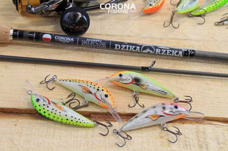 woblery na troć pracowania roztocze