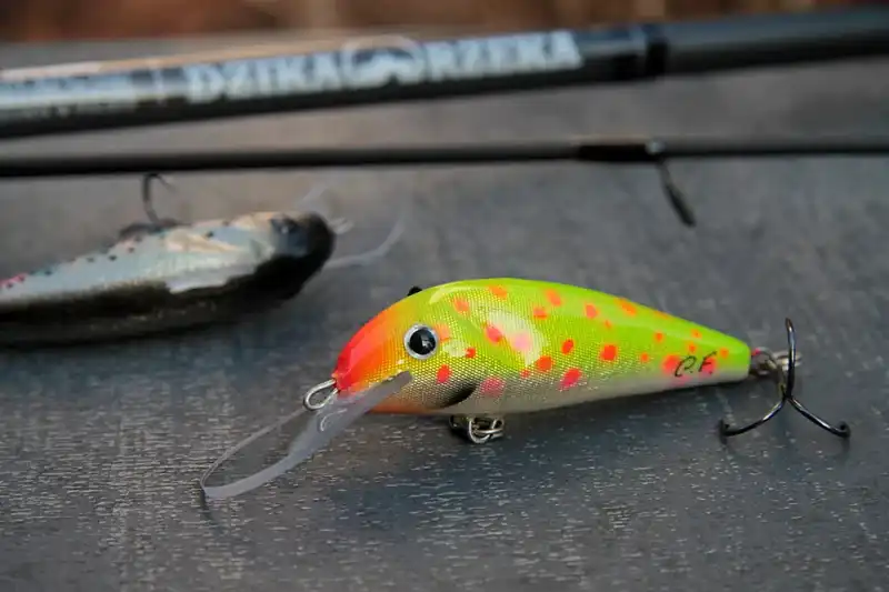 woblery na trociowe grzecznik