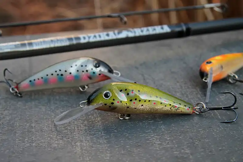 woblery na troć paweeł grzecznik