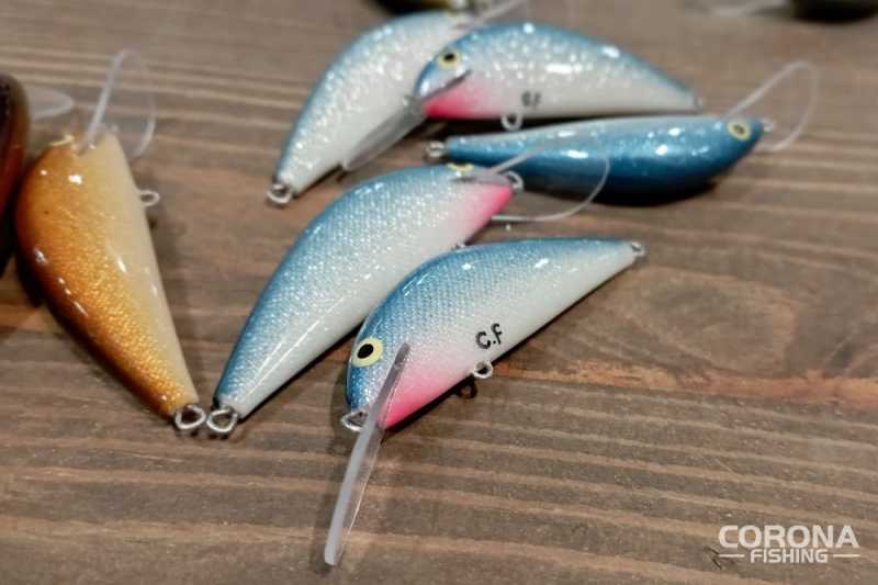 woblery dariusz Kręcigłowa