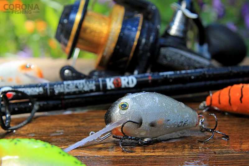 woblery sum Paweł Grzecznik