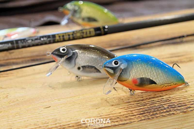 woblery płytko schodzące