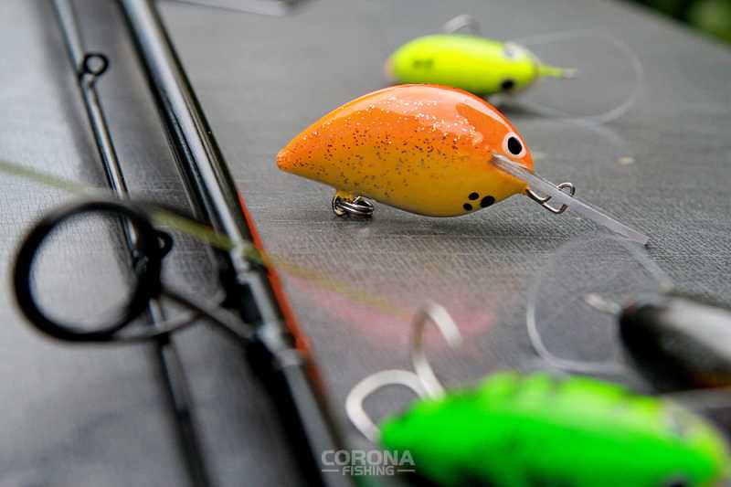 wobler na suma na płytką wodę wobi