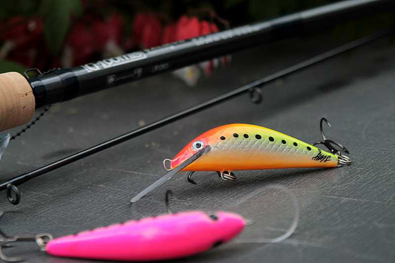 Salmon X