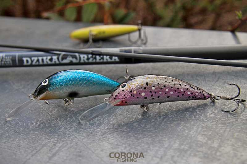 woblery trociowe rafał kostarski