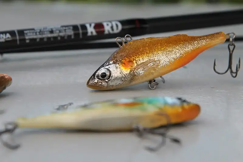 woblery cykady miernik