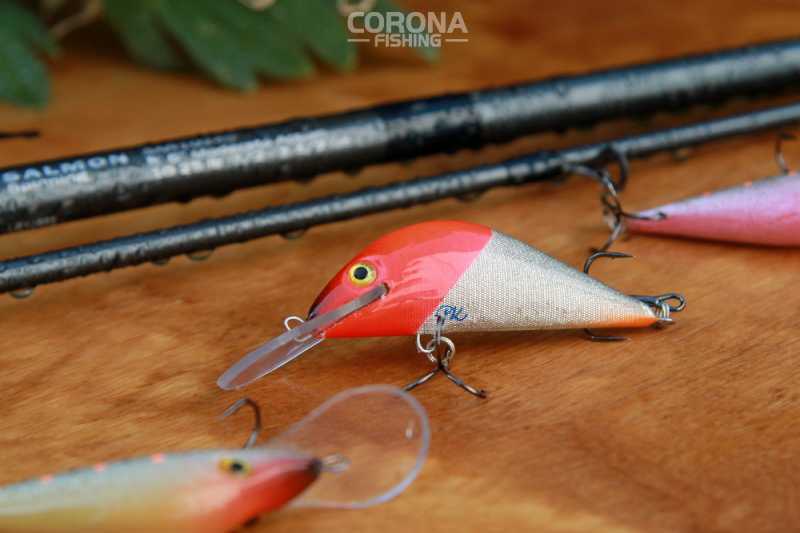 skuteczne woblery trociowe