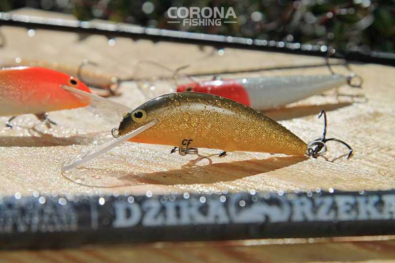 woblery trociowe z czarnego