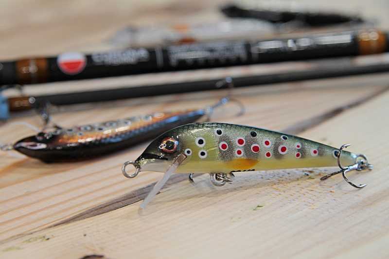 wobler pstrąg krystian stawarz