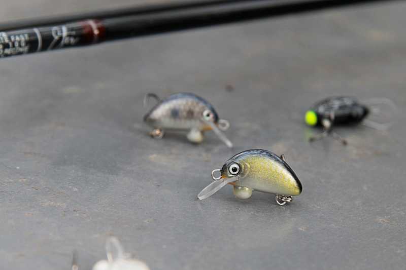 sukteczne woblery jaziowe