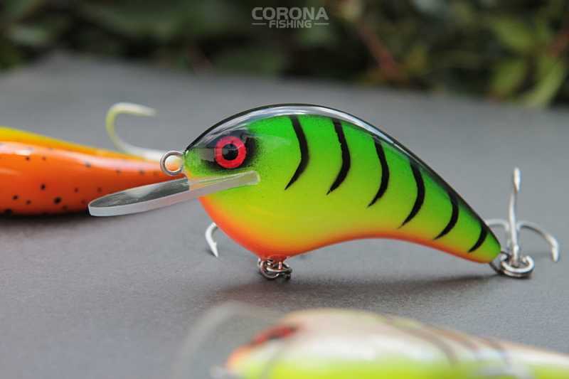 Woblery sumowe Krzysztof Krupiński River Tiger