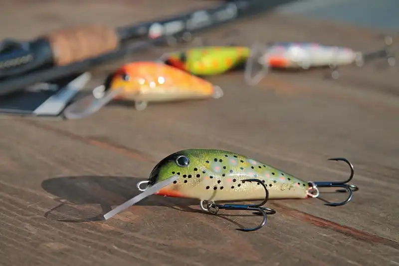 woblery grzecznik trociowe