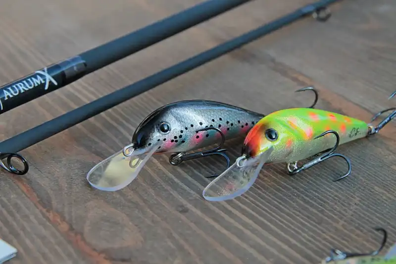 woblery trociowe paweł grzecznik