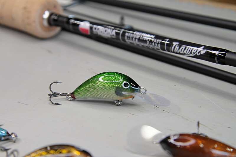 woblery rafał kostarski trucha