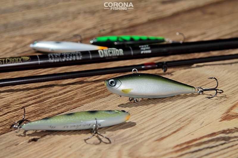 woblery cykadowe aspi