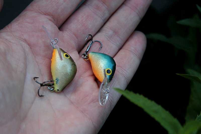 woblery pomorskie