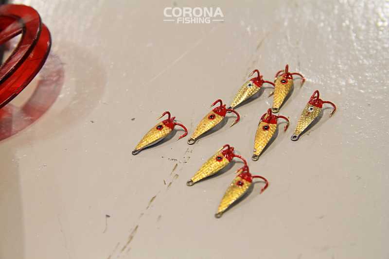 czort żuczek podlodowy