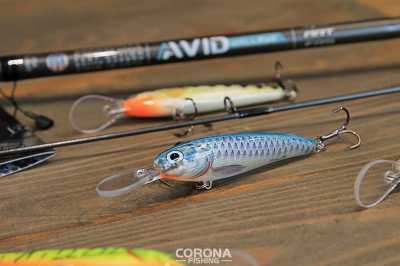 wobler na głęboką wodę