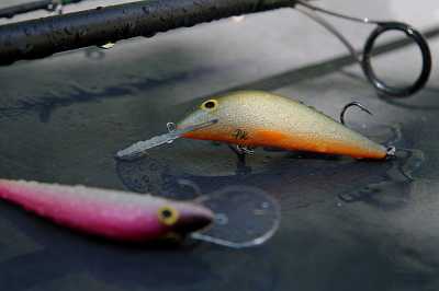 woblery trociowe LD PK