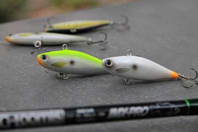 wobler wertyklany na okonia