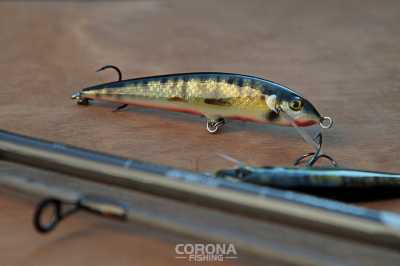 Wobler Minnow pracownia roztocze