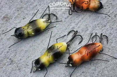 smużak osa rafał kostarski
